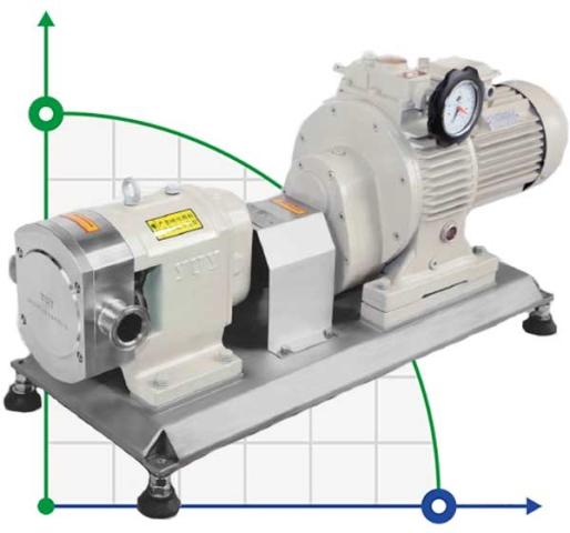 Насос для в'язких продуктів RLP-Z-35L, AISI 316L, 4 kW, 380V 50HZ 3P Lobe Pump