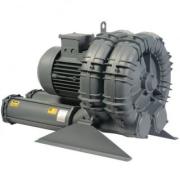 Воздуходувка вихревая FPZ SCL K09-TD110